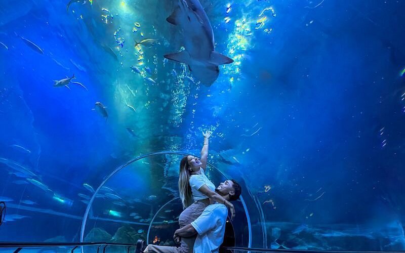 AquaRio Rio de Janeiro